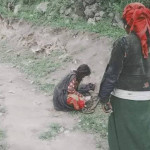 आमा सुरक्षा कार्यक्रम : उपलब्धि, चुनौती र अबको बाटो